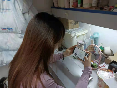 833体育超级联赛
