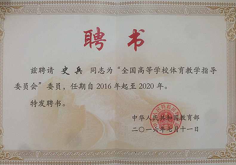 833体育欧洲杯图片