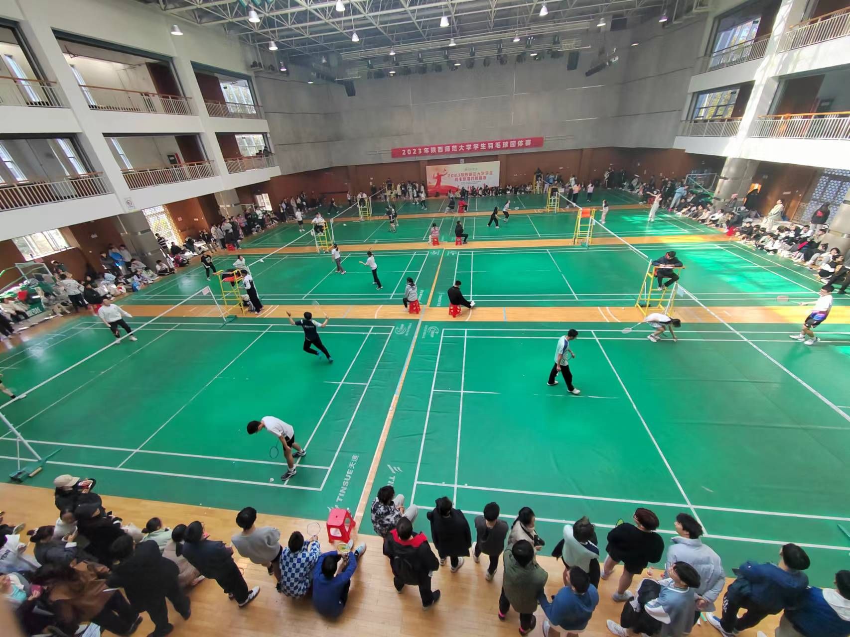 833体育平台图片
