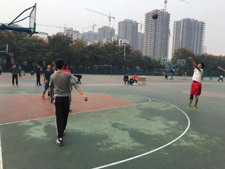 833体育APP下载图片