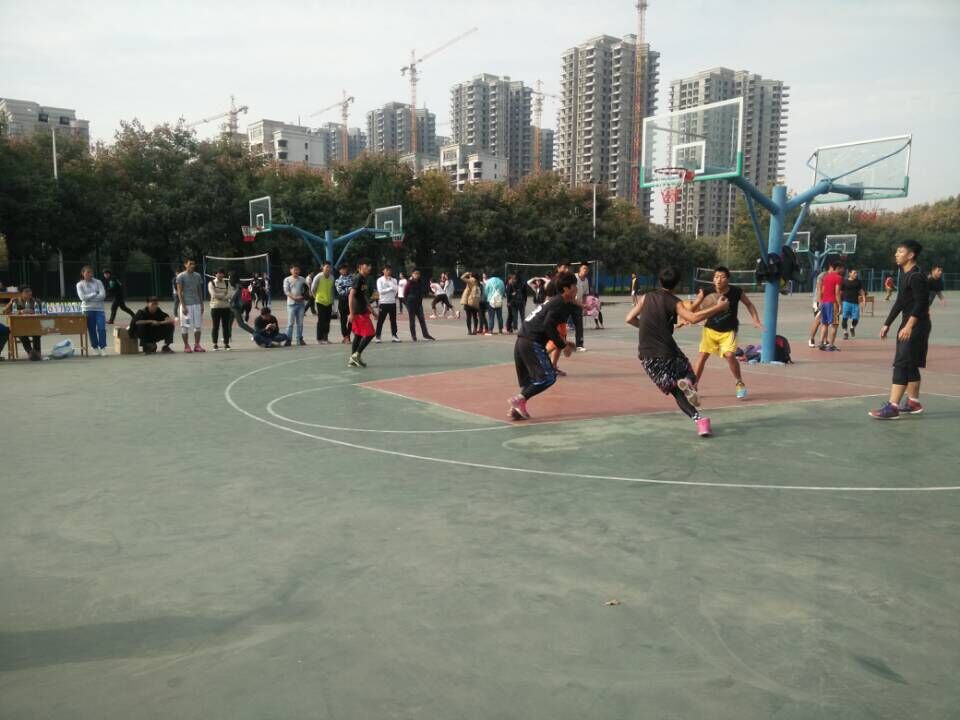 833体育平台图片