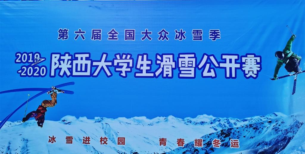 833体育备用网址