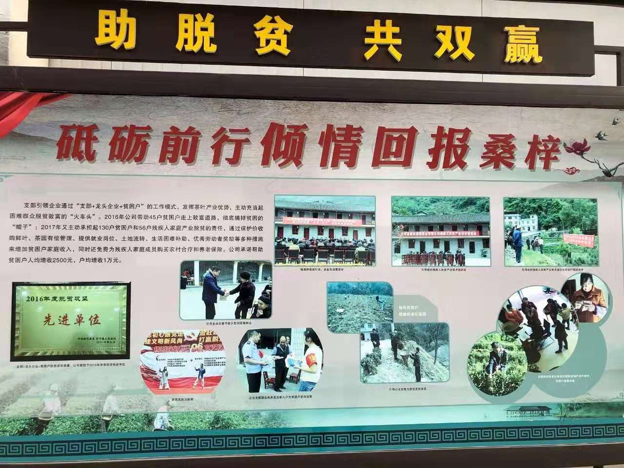 833体育赛事快讯图片
