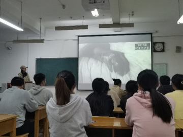 833体育欧洲杯