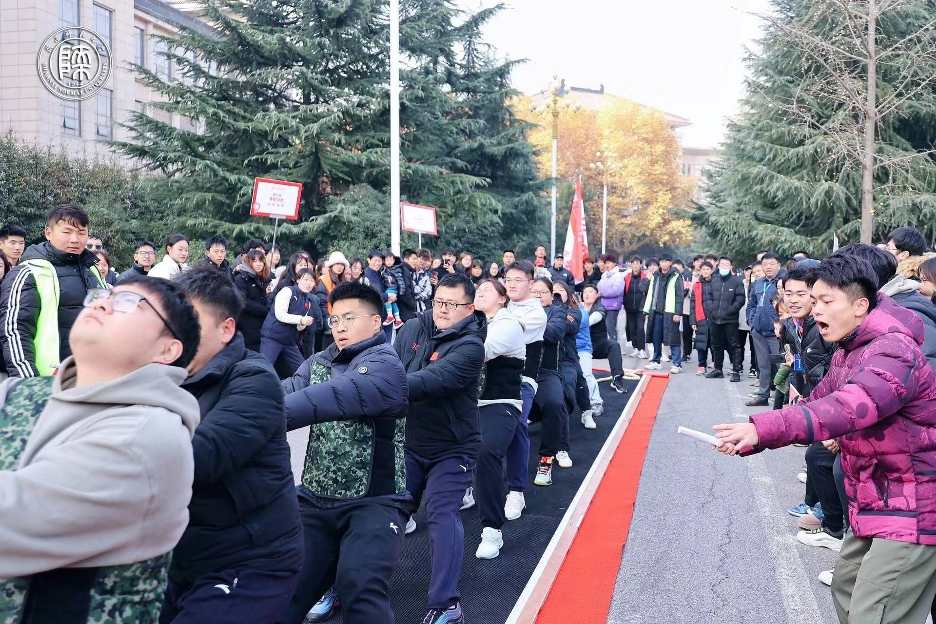 833体育官方线路