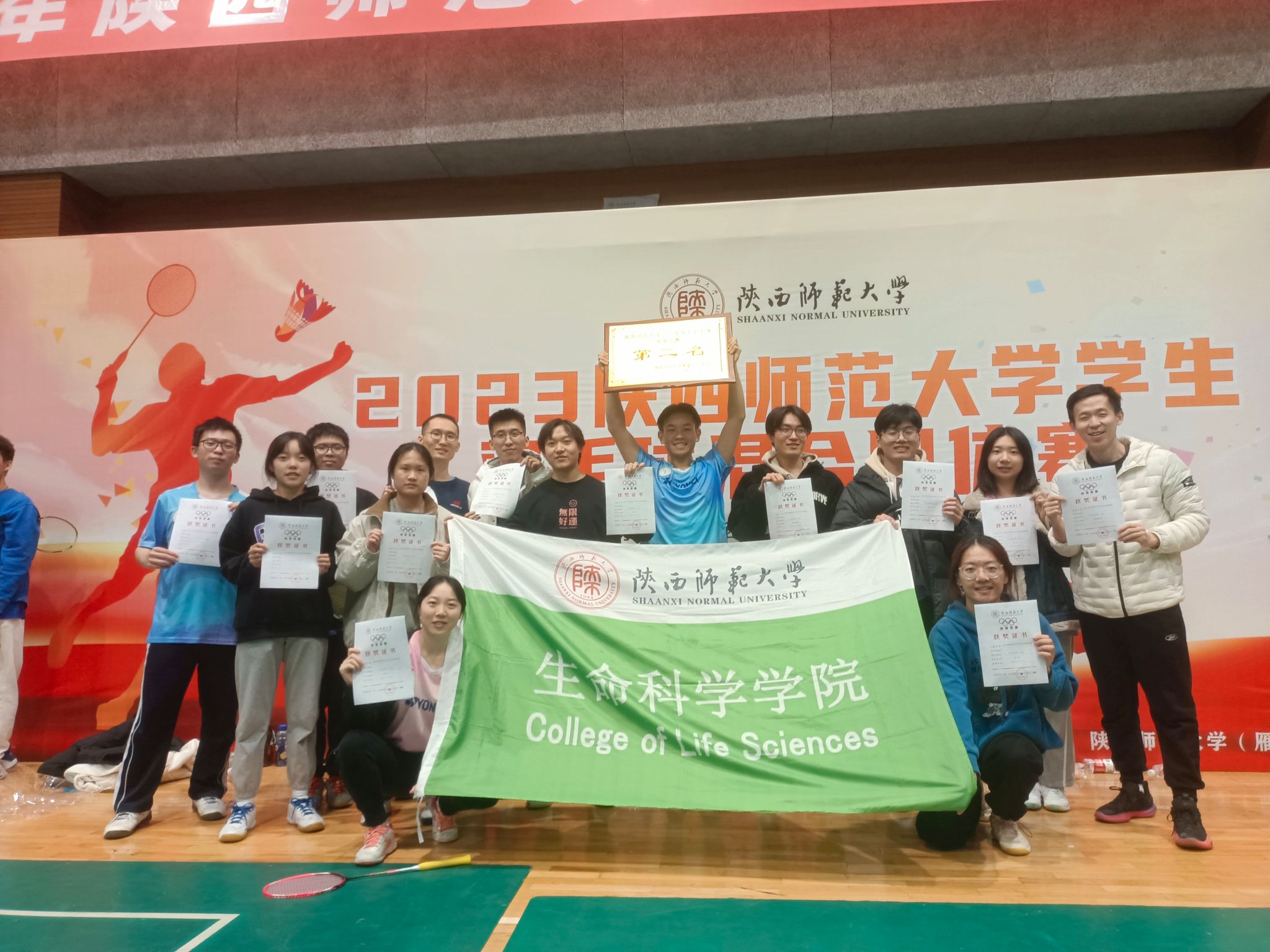 833体育欧冠直播图片