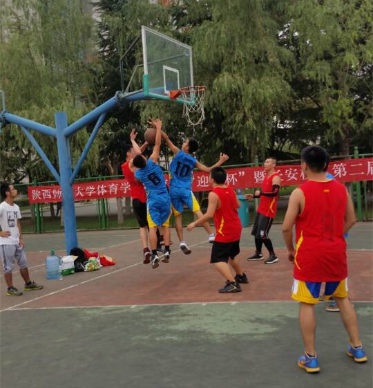 833体育指定通道