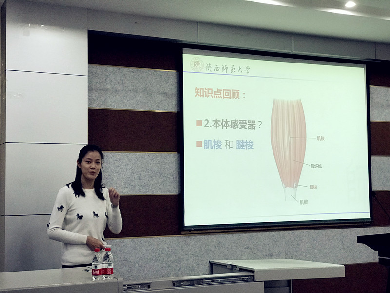 833体育指定入口图片