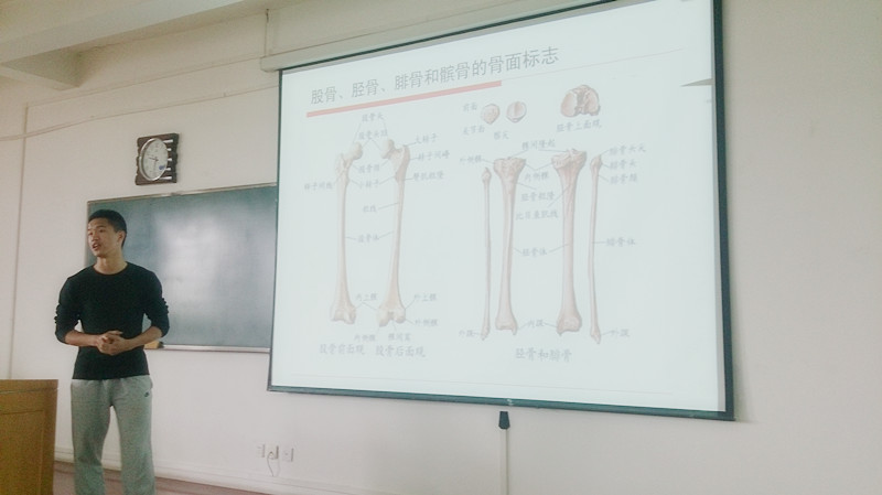 833体育赛事资讯平台