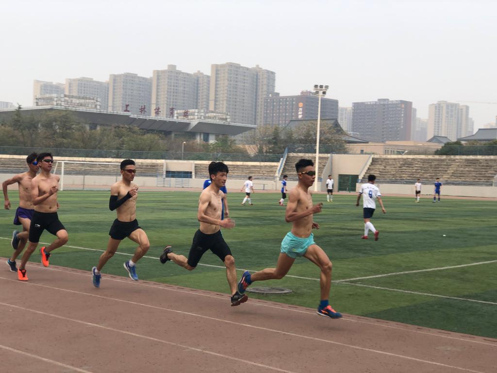 833体育官方指定端