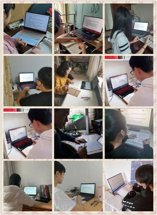 833体育官方指定端