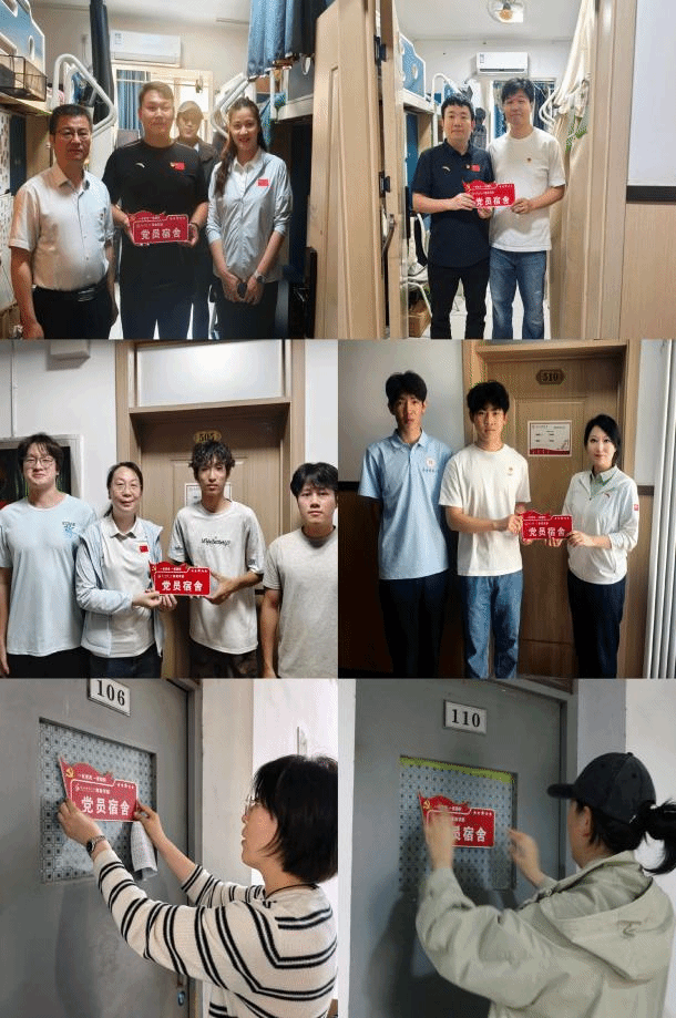 833体育欧洲杯