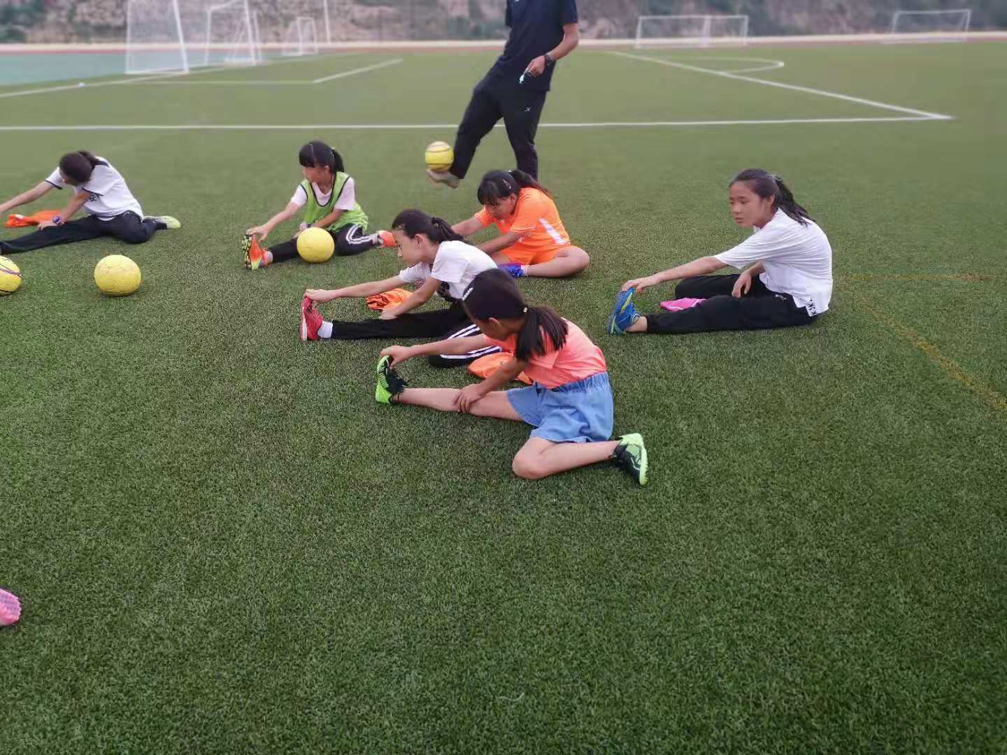 833体育指定入口图片