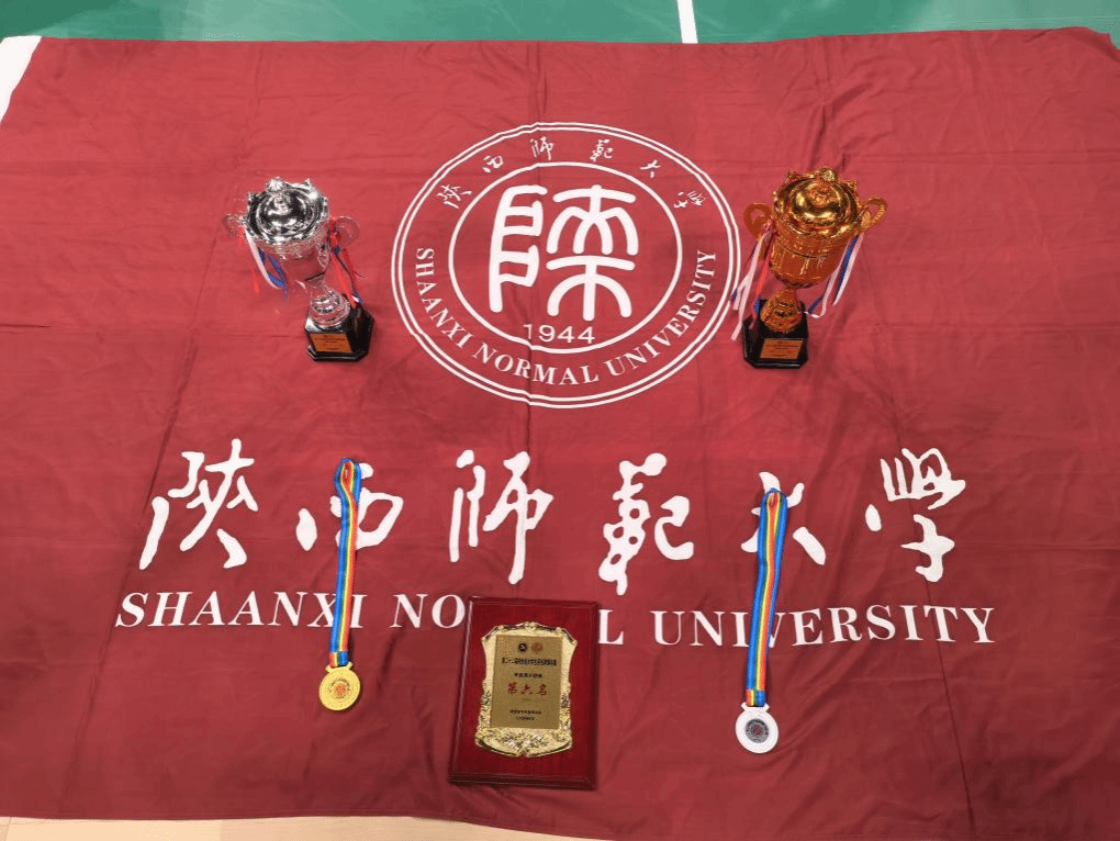 833体育欧冠直播图片