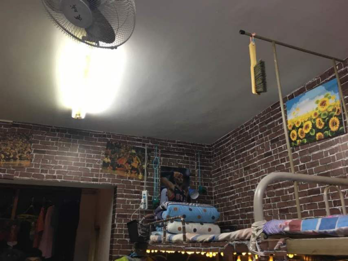 833体育欧洲杯图片