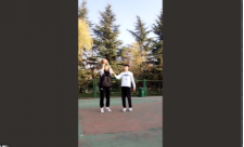 833体育平台图片