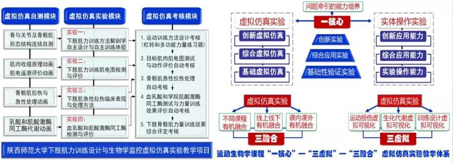 833体育指定入口
