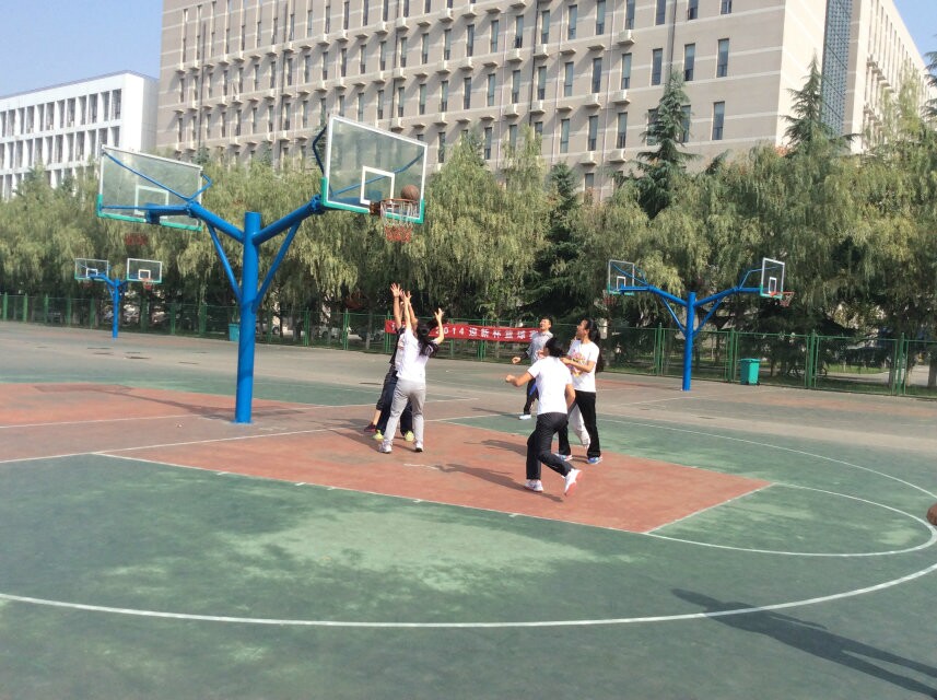 833体育指定入口