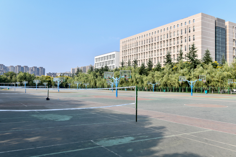 833体育APP下载图片