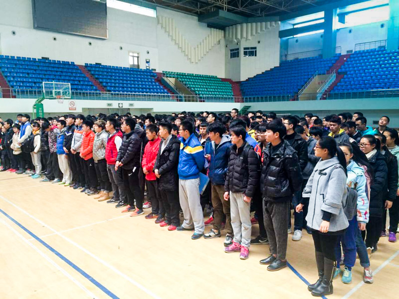 833体育平台图片