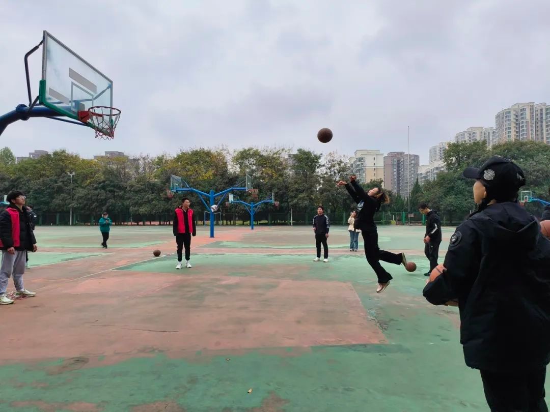 833体育稳定线路