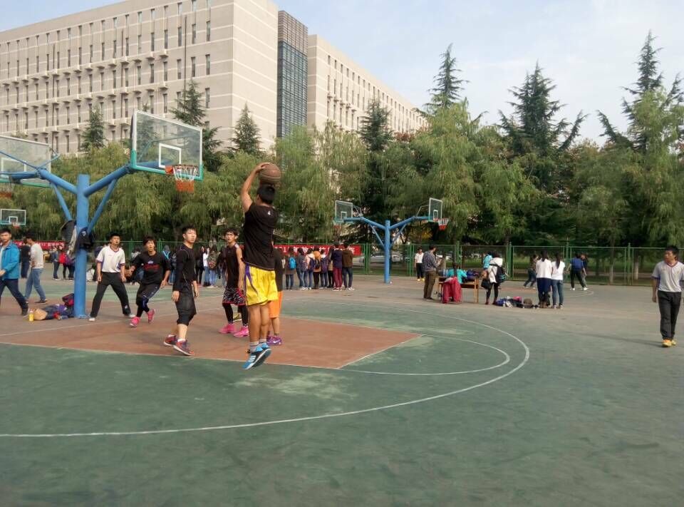 833体育体育频道图片